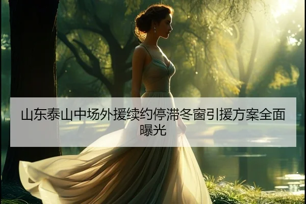 山东泰山中场外援续约停滞冬窗引援方案全面曝光